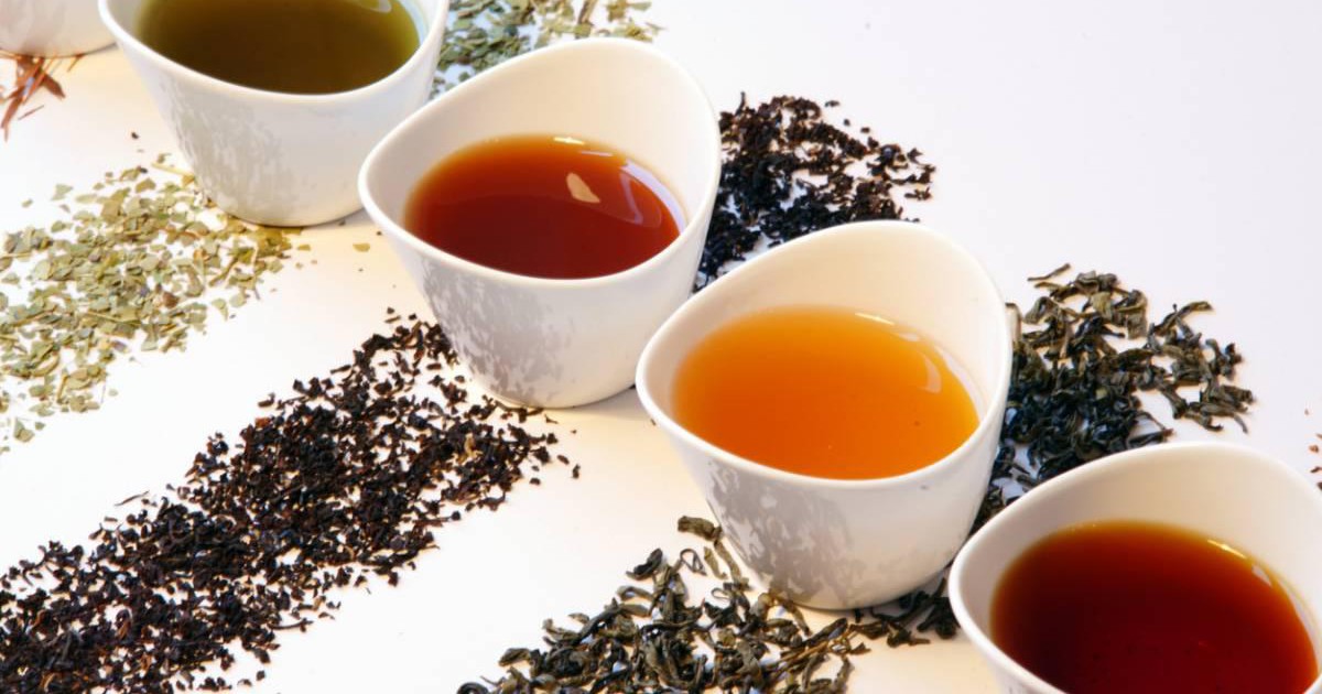 À la découverte des différents arômes du thé