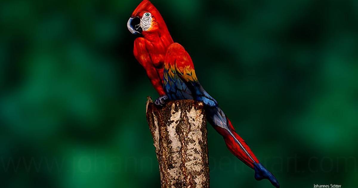 L'art du bodypainting