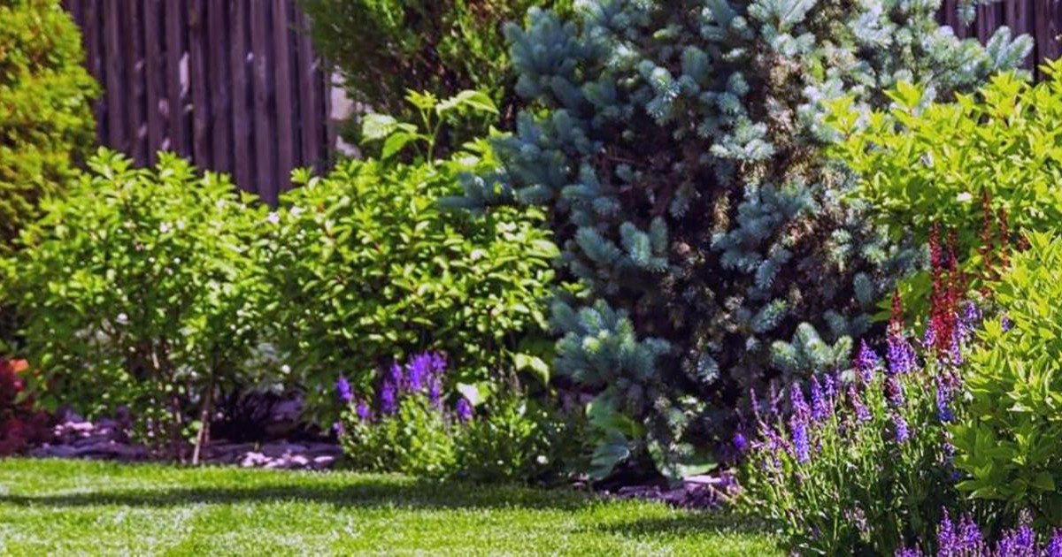 Comment faire pour bien choisir votre élagueur ce printemps
