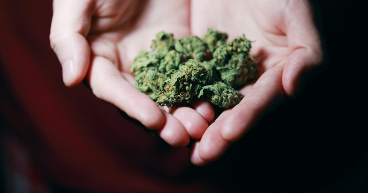 Cannabis médical : faut-il (enfin) le prendre au sérieux ?  
