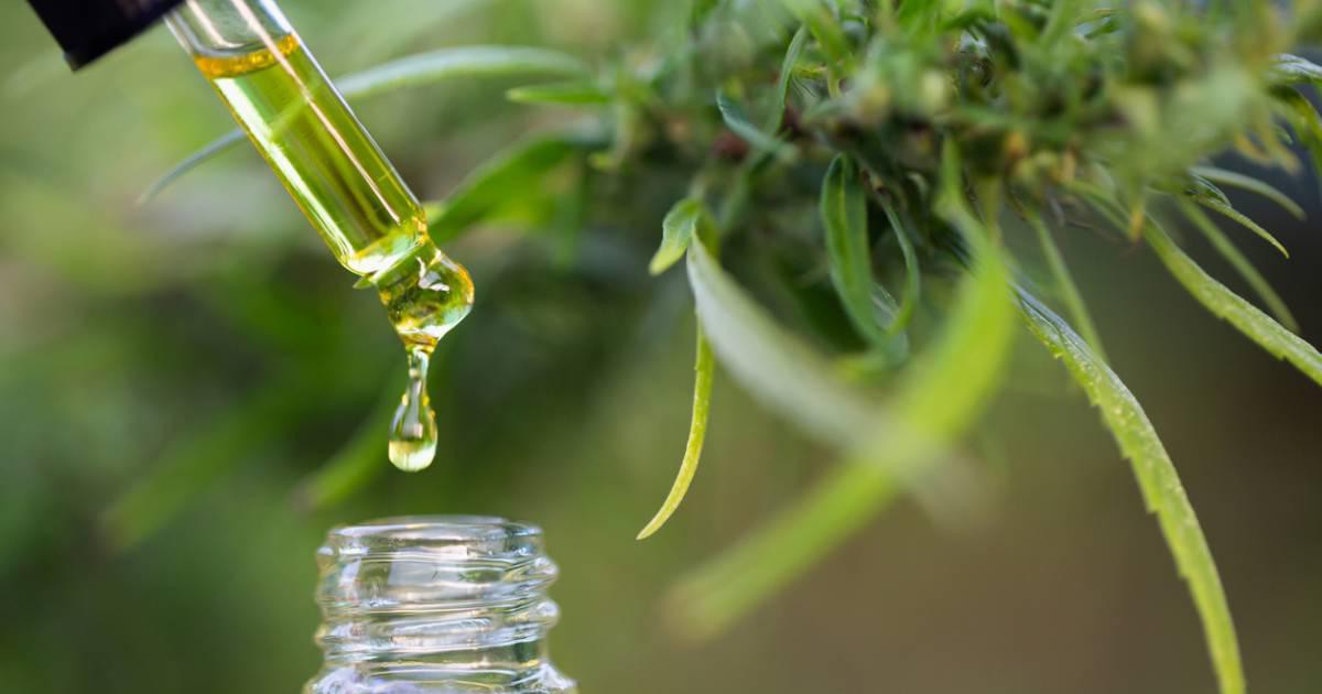 CBD : un marché qui pèse lourd dont la croissance est exceptionnelle