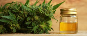 CBD : pour quoi, sous quelles formes et à quelle...