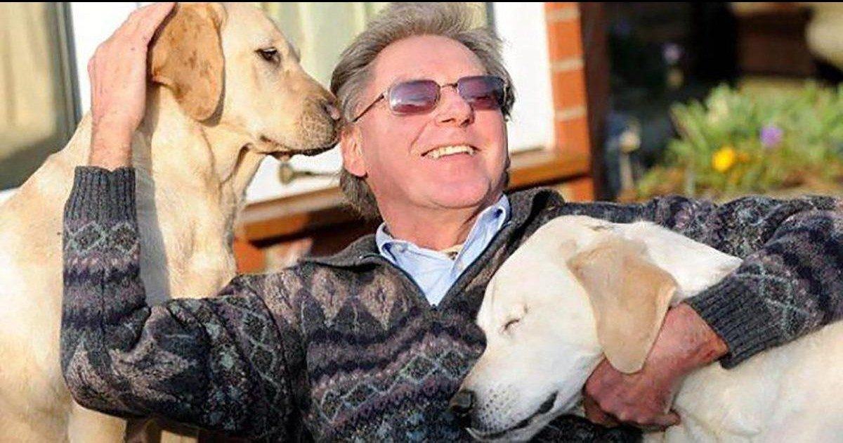 Un chien d'aveugle perd l'usage de ses yeux et se fait guider par un autre chien