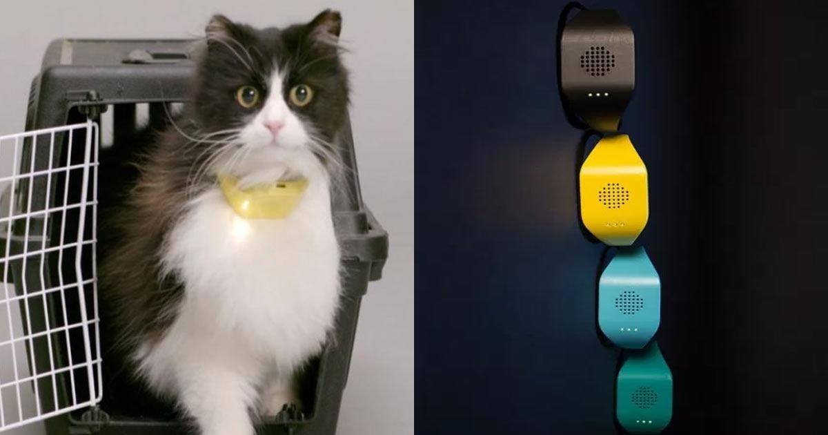 Un collier pour chat traduit les miaulements de votre chat en paroles...