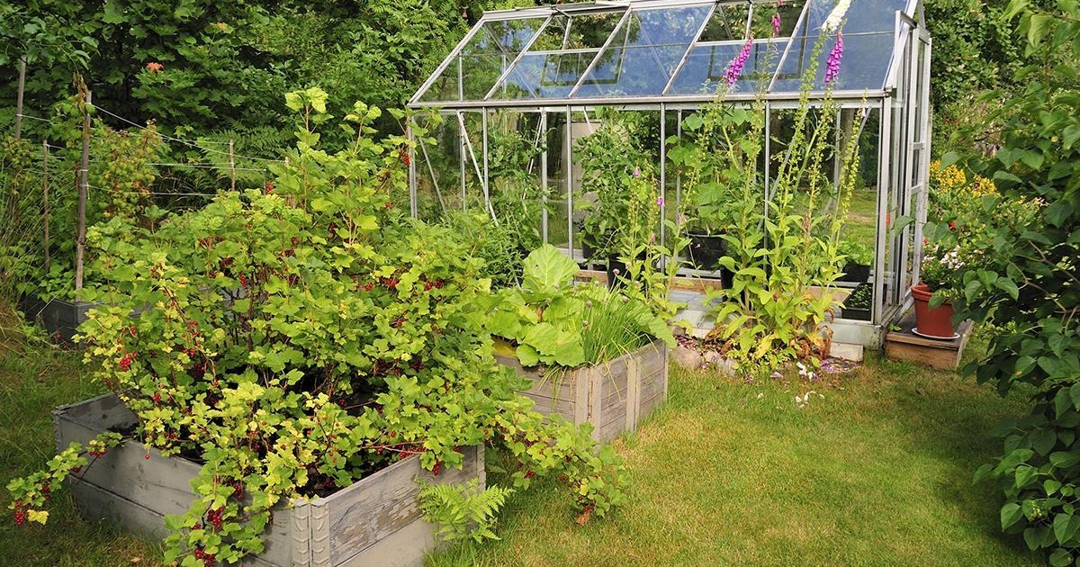 Comment faire son potager santé pour avoir des légumes bon pour la santé ?