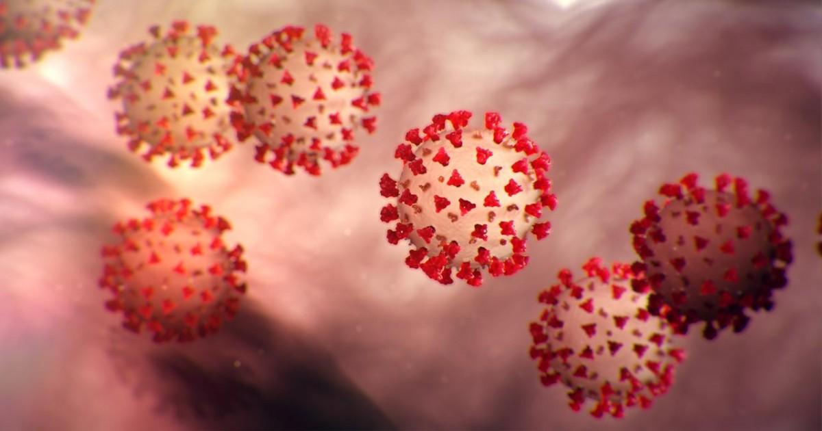Le coronavirus survit des heures dans l'air et des jours sur l'acier