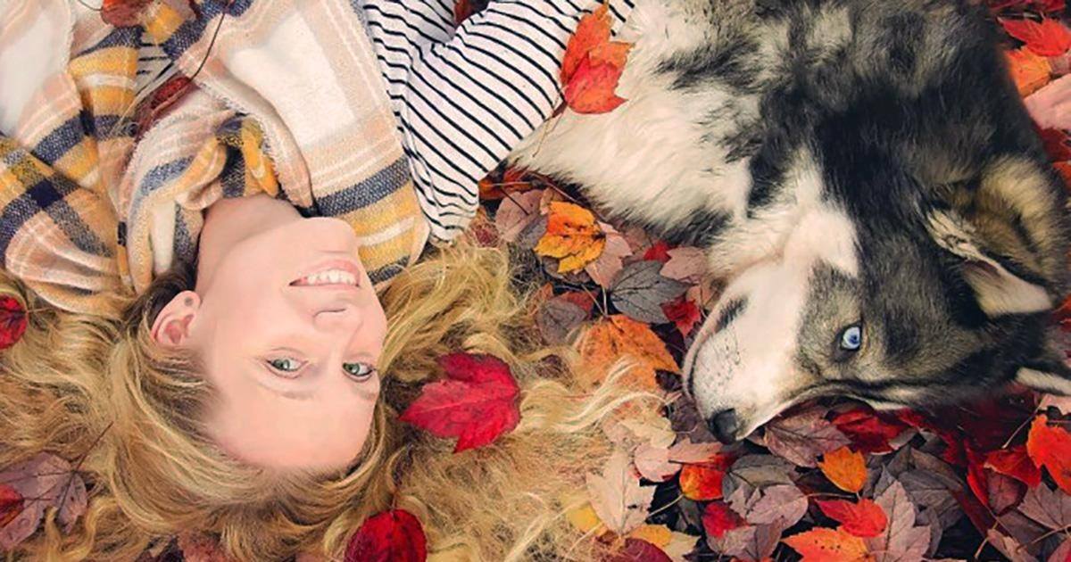 Cette femme battue à été sauvée grâce à un jeune husky qui a changé sa vie