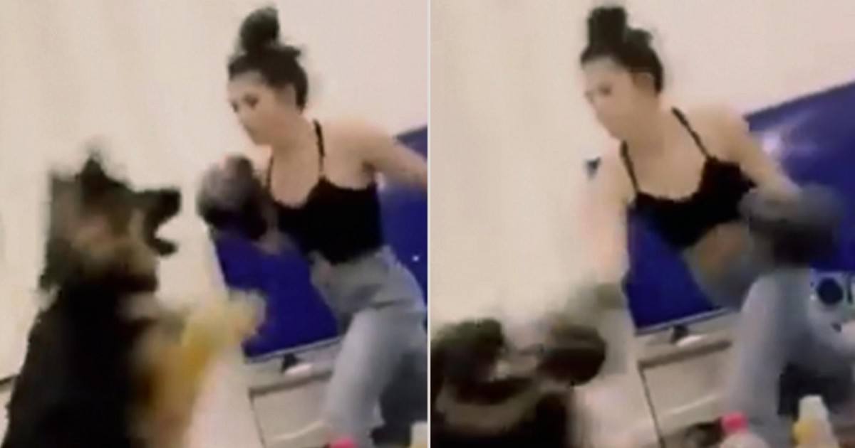 Cette femme boxe son chien et provoque la fureur des internautes