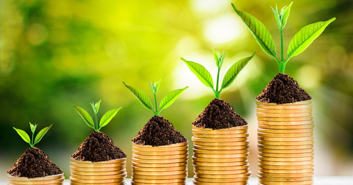 Finance et climat : les ONG pointent du doigt les banques françaises