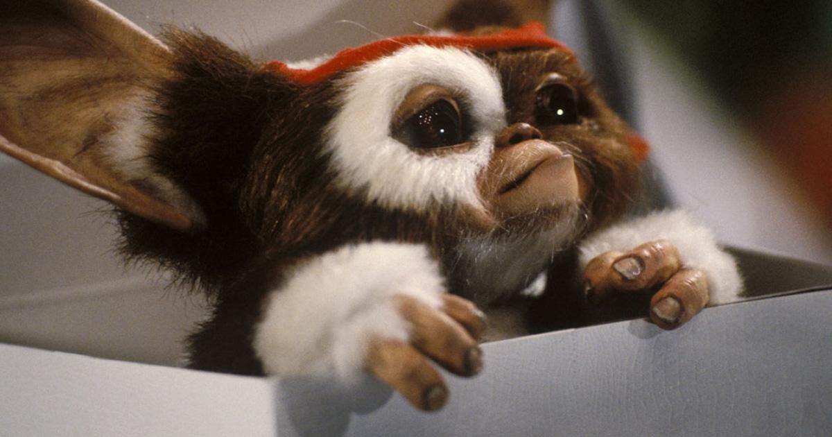 « Gremlins 3 », en préparation, ne sera pas un remake