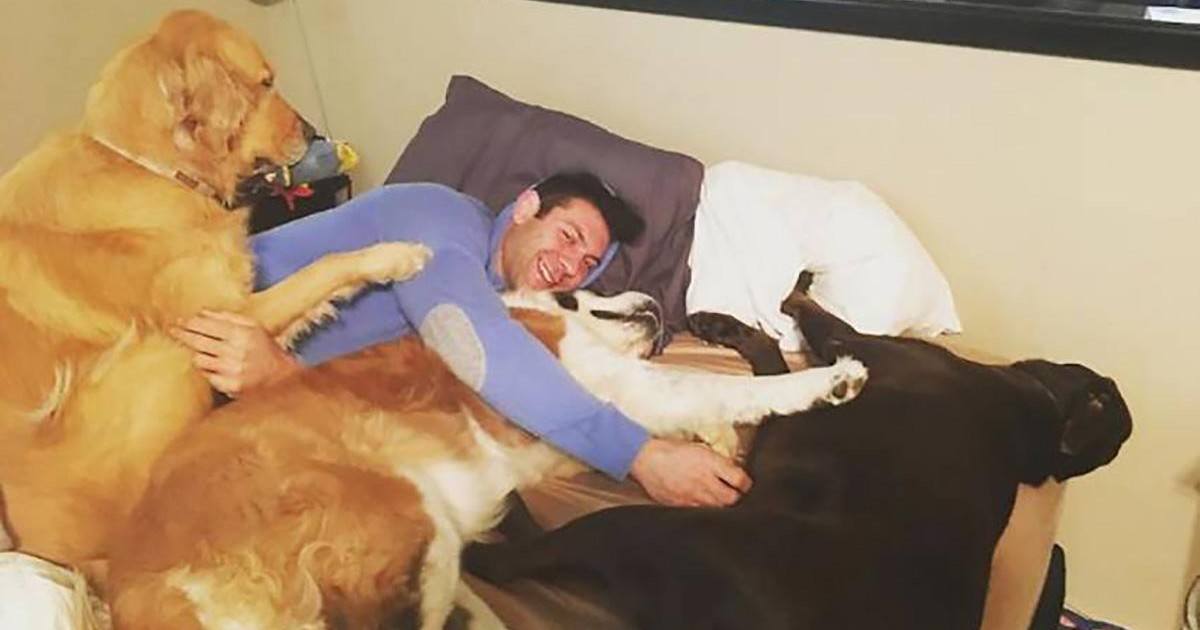Cet homme ne cessera jamais d'adopter des animaux abandonnés