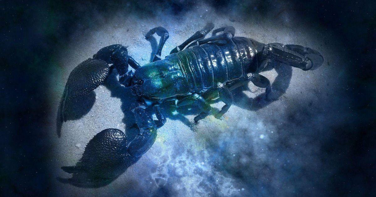 Découvrez notre horoscope 2020 scorpion gratuit réalisé par notre astrologue