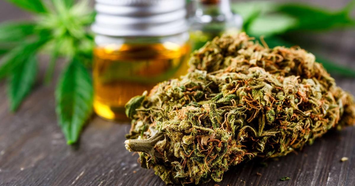 Huile CBD : Que faut-il savoir et quels sont les bienfaits pour la santé ?