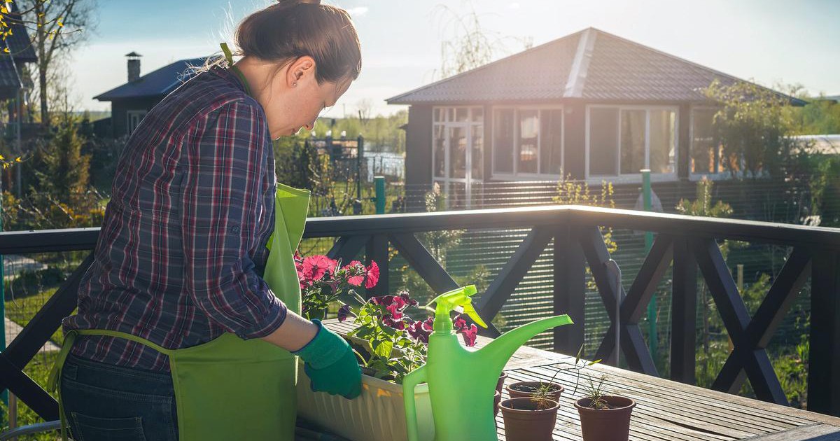 Jardin : quelles plantes pour notre bien-être cette année ?