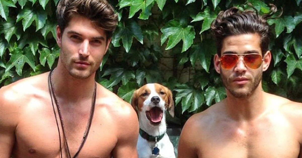 Des mannequins et des chiens viennent favoriser l'adoption des animaux