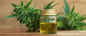 Le marché français du CBD : entre l’engouement des...