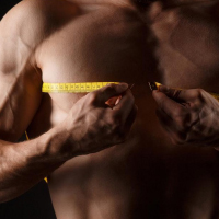 Musculation