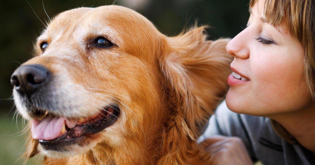 Vous parlez à votre animal de compagnie, alors vous êtes plus intelligent