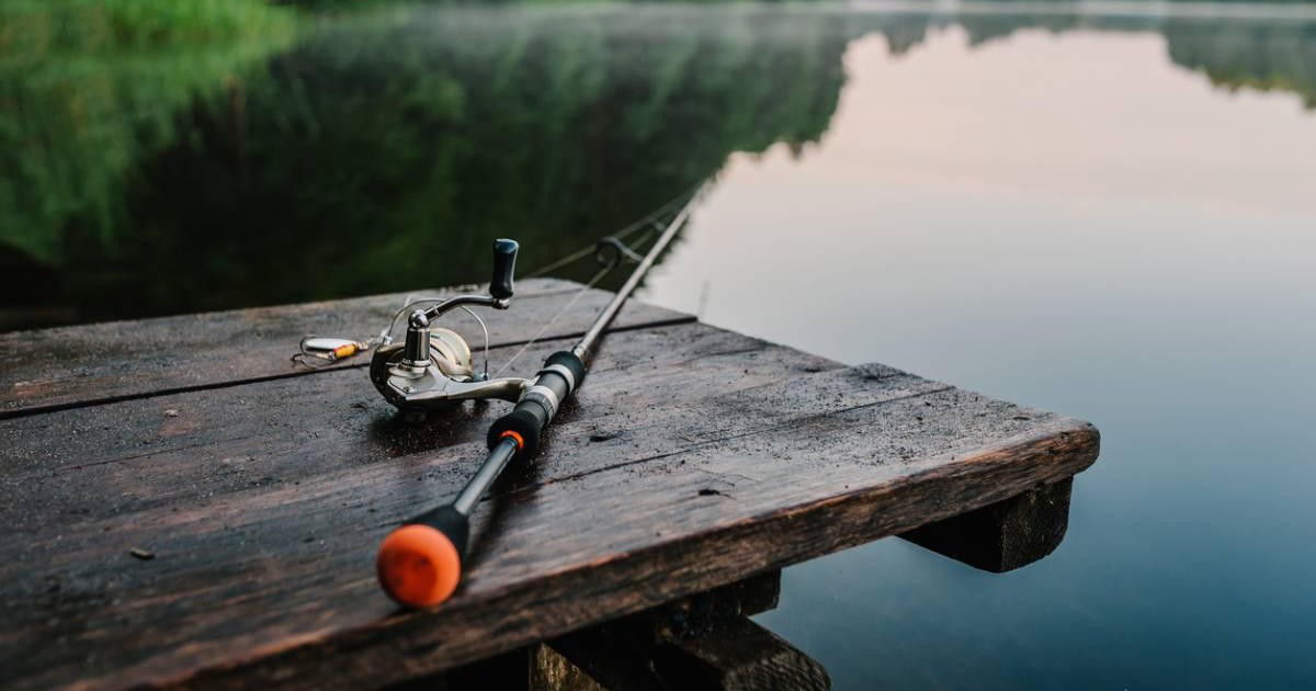 Pêche au carnassier : de quoi avez-vous besoin ?