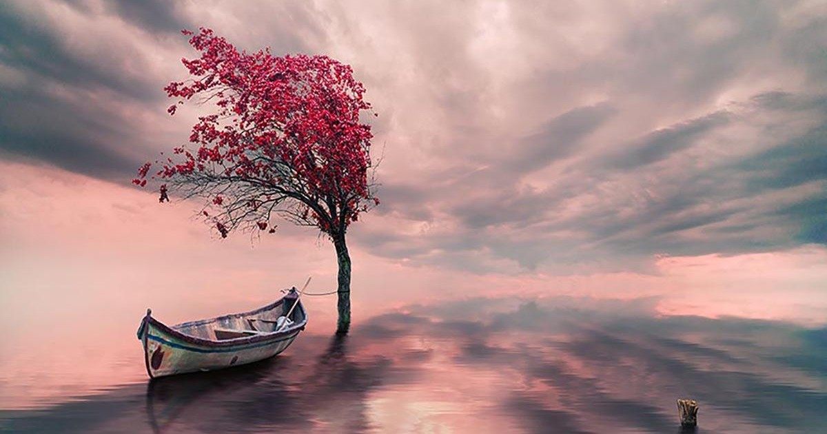 Un photographe nous fait découvrir un nouveau monde envoûtant !