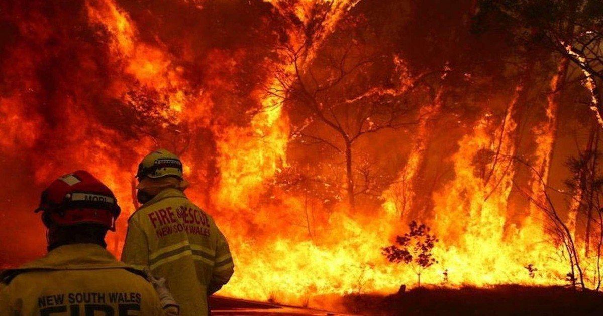 20 photos dévastatrices des incendies en Australie (qui décevraient Greta Thunberg)