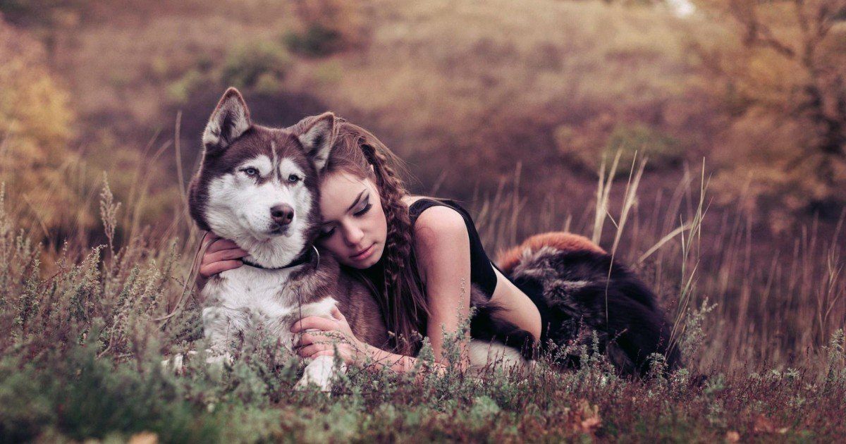 12 signes qui prouvent que vous avez vraiment besoin d'un animal de compagnie !