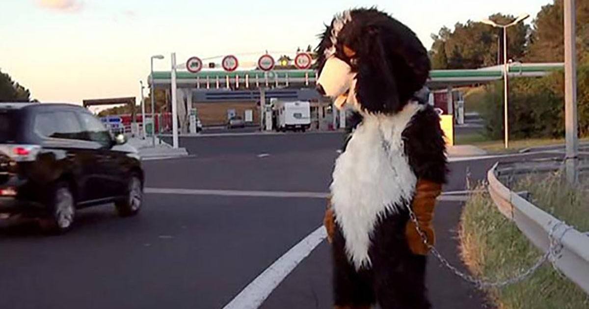 Rémi Gaillard en chien, la vidéo qui fait polémique