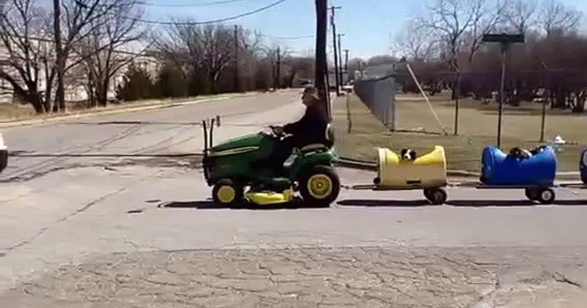 Un retraité construit un train pour promener les chiens abandonnés
