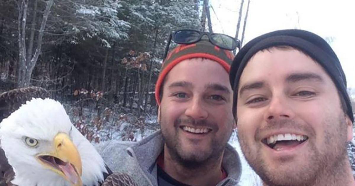 Ils sauvent un aigle, prennent un selfie et font le buzz