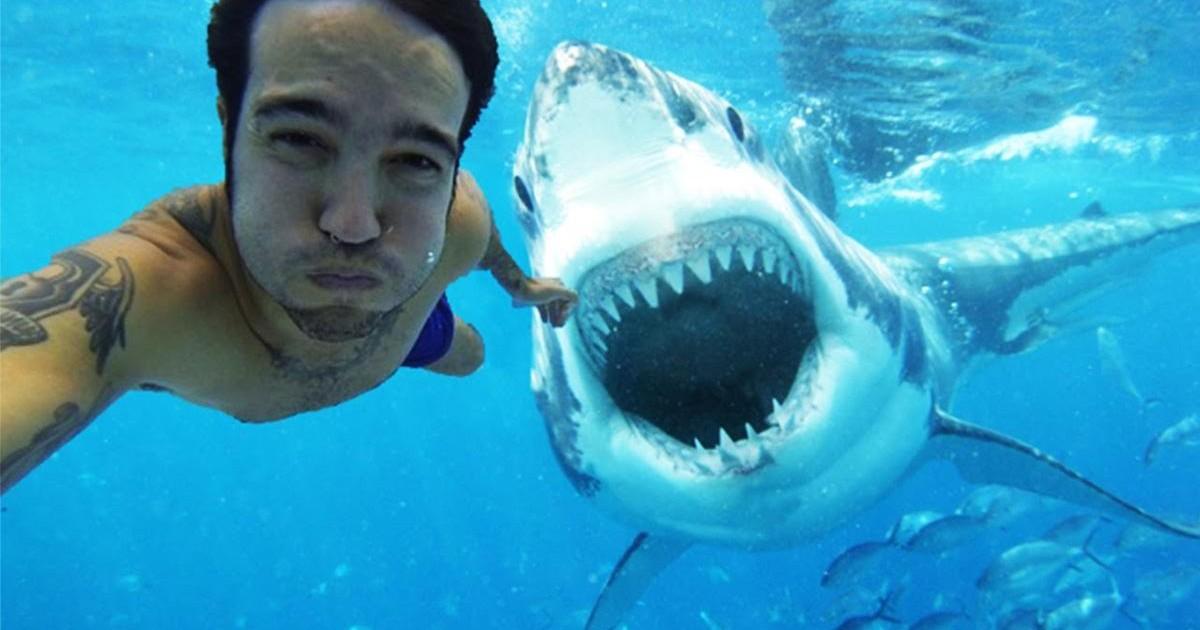 Les selfies, plus dangereux que les attaques de requins