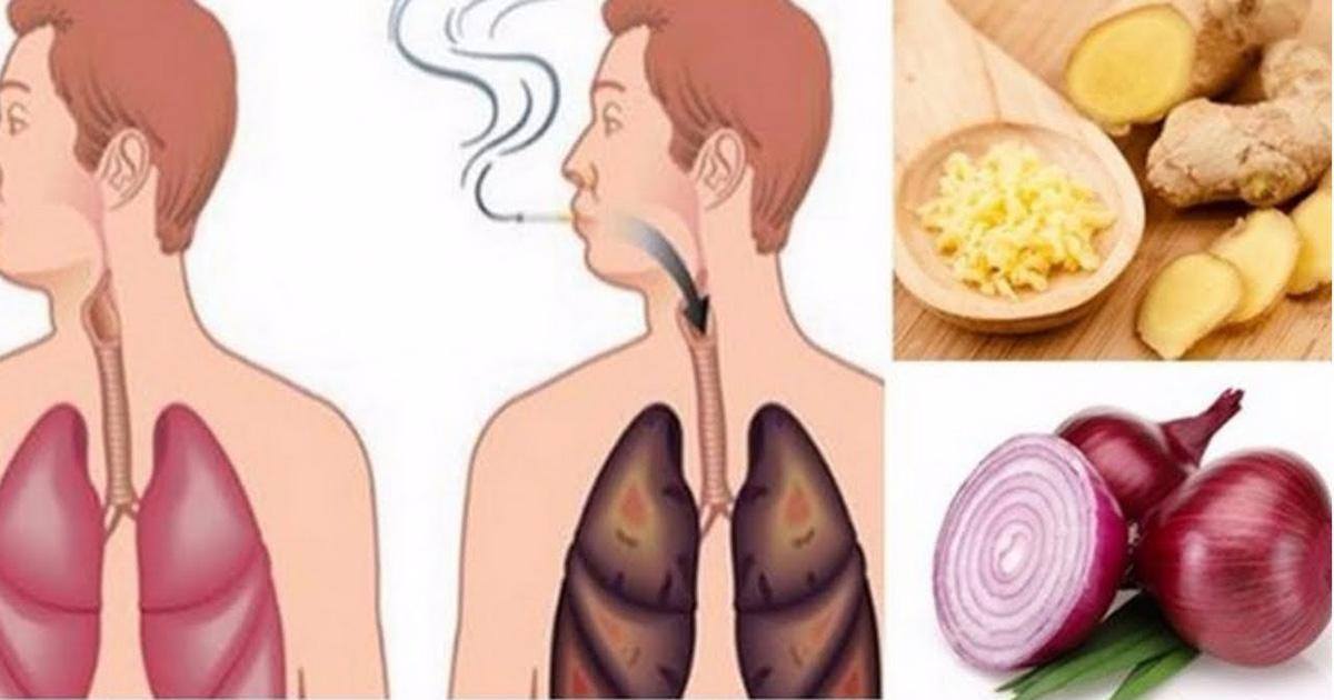 Tabac : quels aliments pour nettoyer ses poumons ?