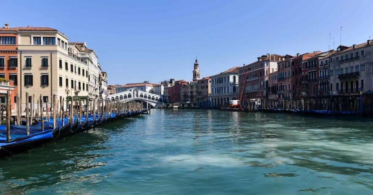 Les canaux de Venise s'éclaircissent et les poissons reviennent