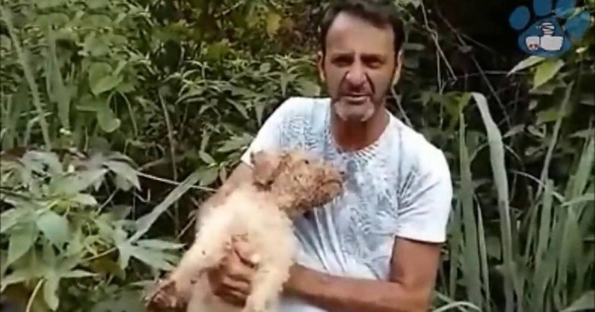Wilson Martins sauve chaque année des dizaines de vies animales
