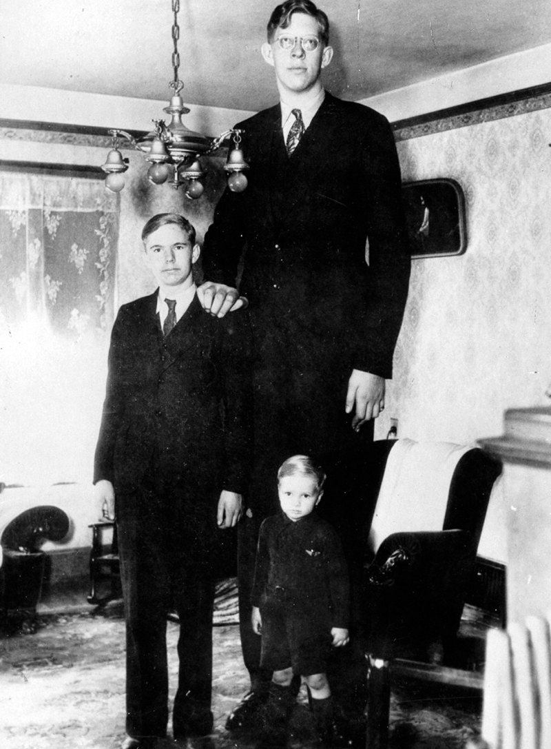 Robert Wadlow l