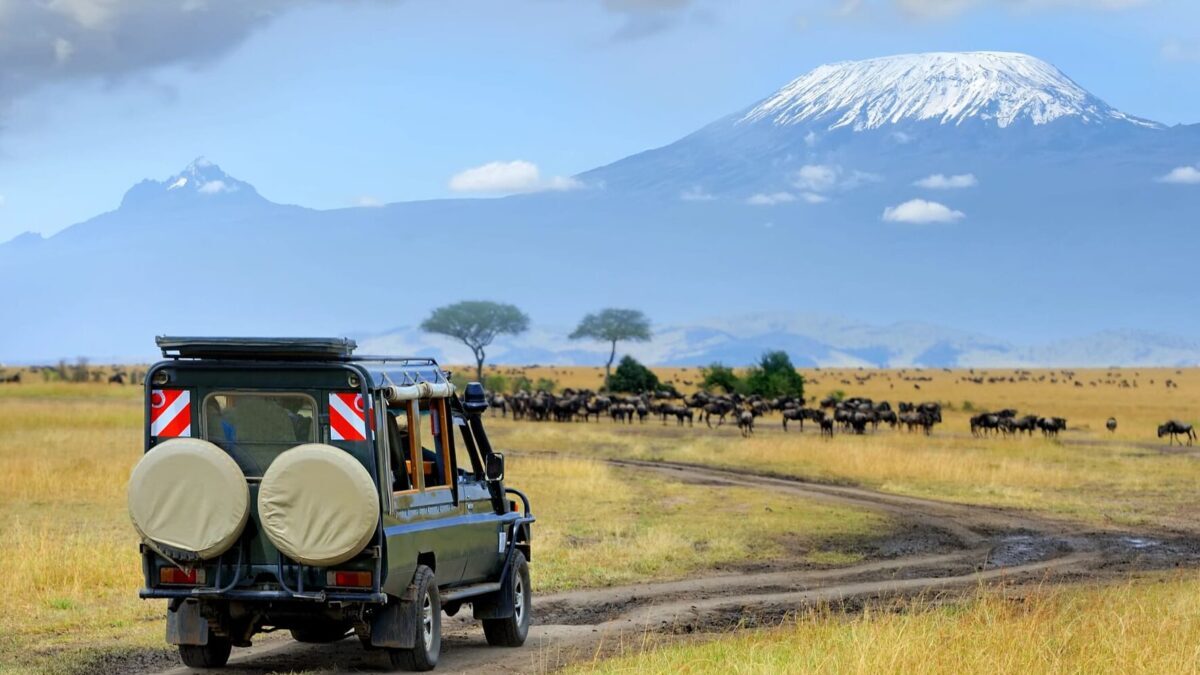 Safari en Tanzanie