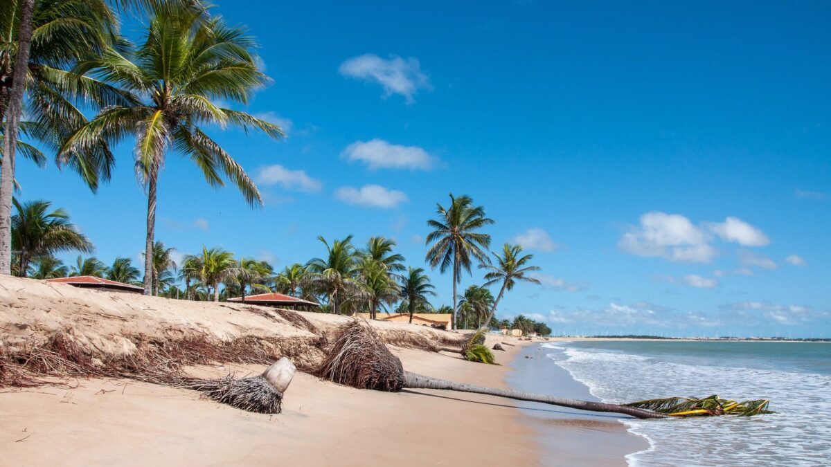 Les plus belles plages du Brésil